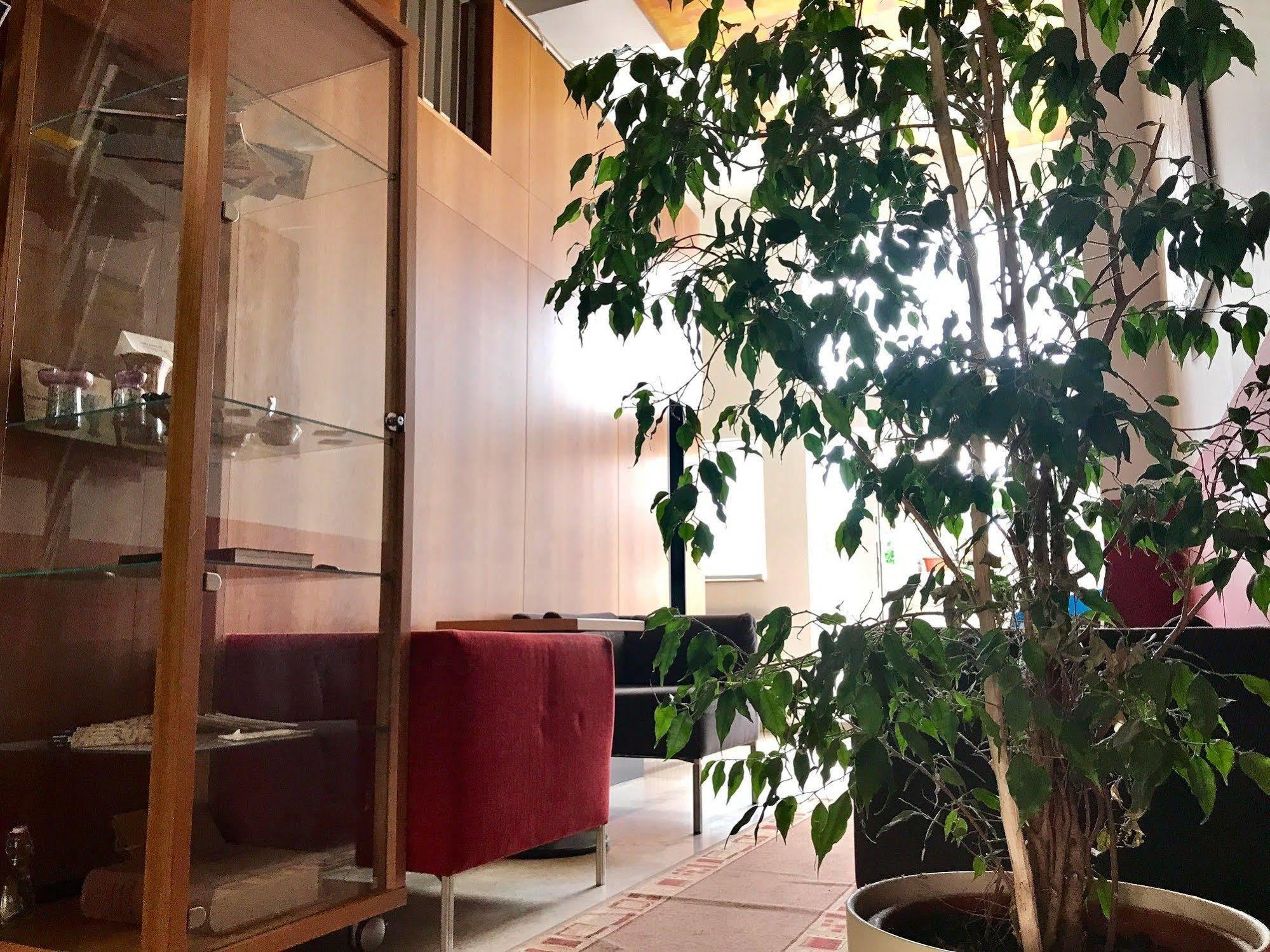 Hotel Maxim Svätý Jur 외부 사진
